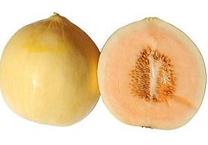 Casaba Golden Beauty Heirloom Melon Seed
