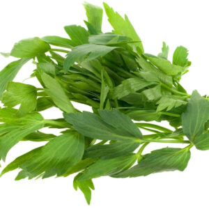 Lovage Heirloom Certified- Herb Seed