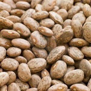 Pinto Heirloom Bean Seed