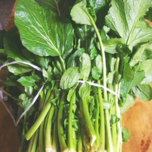 Rapa Da Broccoletti Toscano Heirloom Broccoli Seed