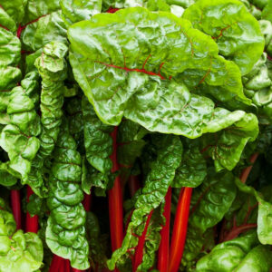 Ruby Red Heirloom Swiss Chard Seed