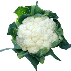 Self Blanche Heirloom Cauliflower Seed